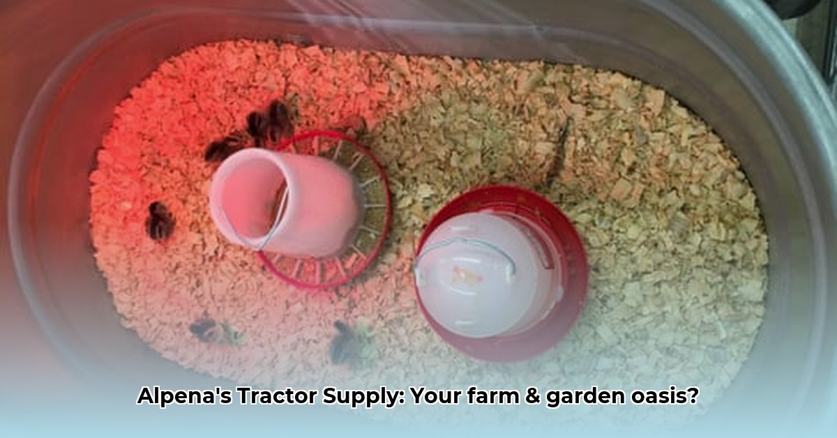 tractor-supply-alpena-mi